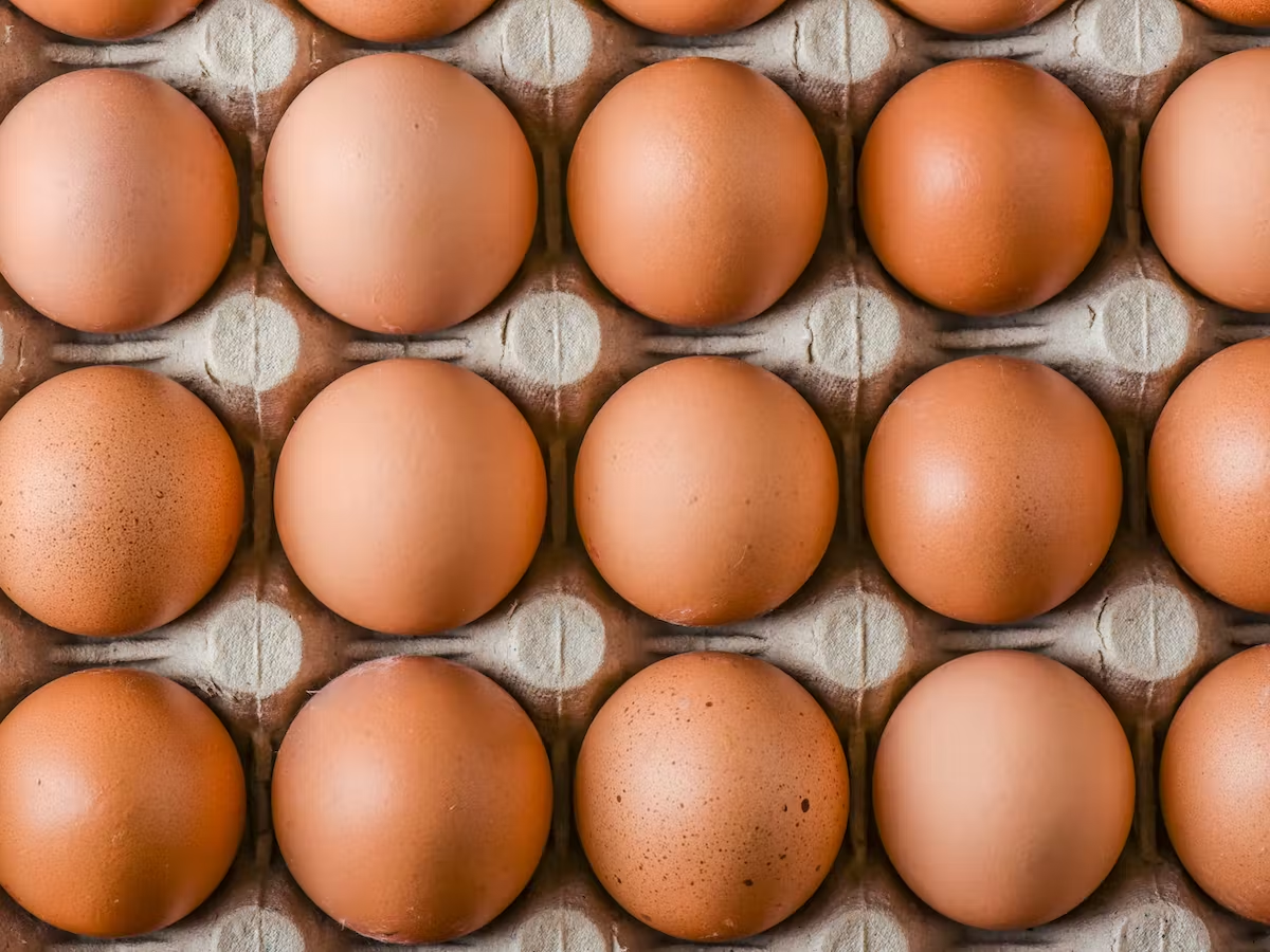 Price Of Eggs In Mauritius 2023/2024